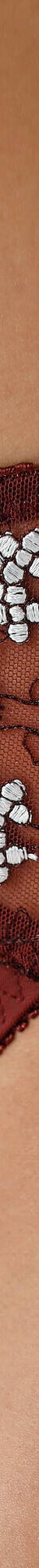 Culotte microfibre tulle brodé Caminata (chocolat) Culotte microfibre tulle brodé Caminata (chocolat)